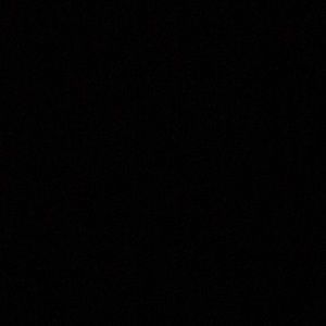 Meet your Posher, Nina